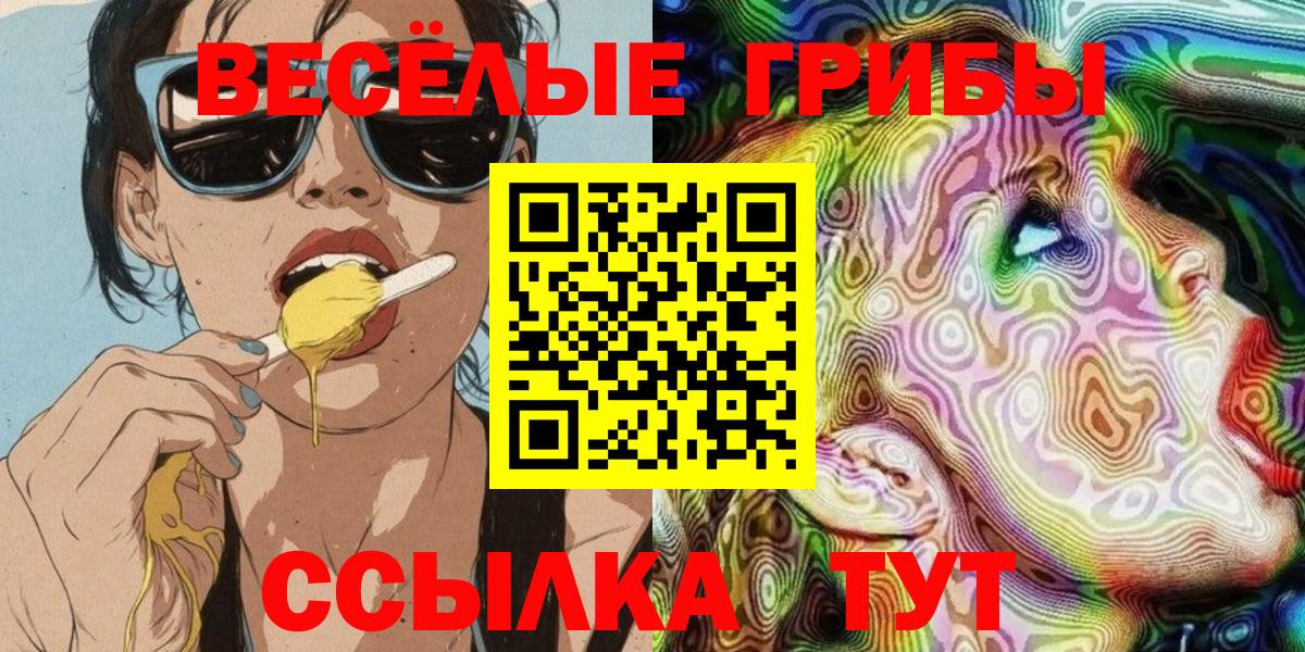 Галлюциногенные грибы прущие грибы  Галлюциногенные грибы мицелий  Выкса  Вход с VPN 